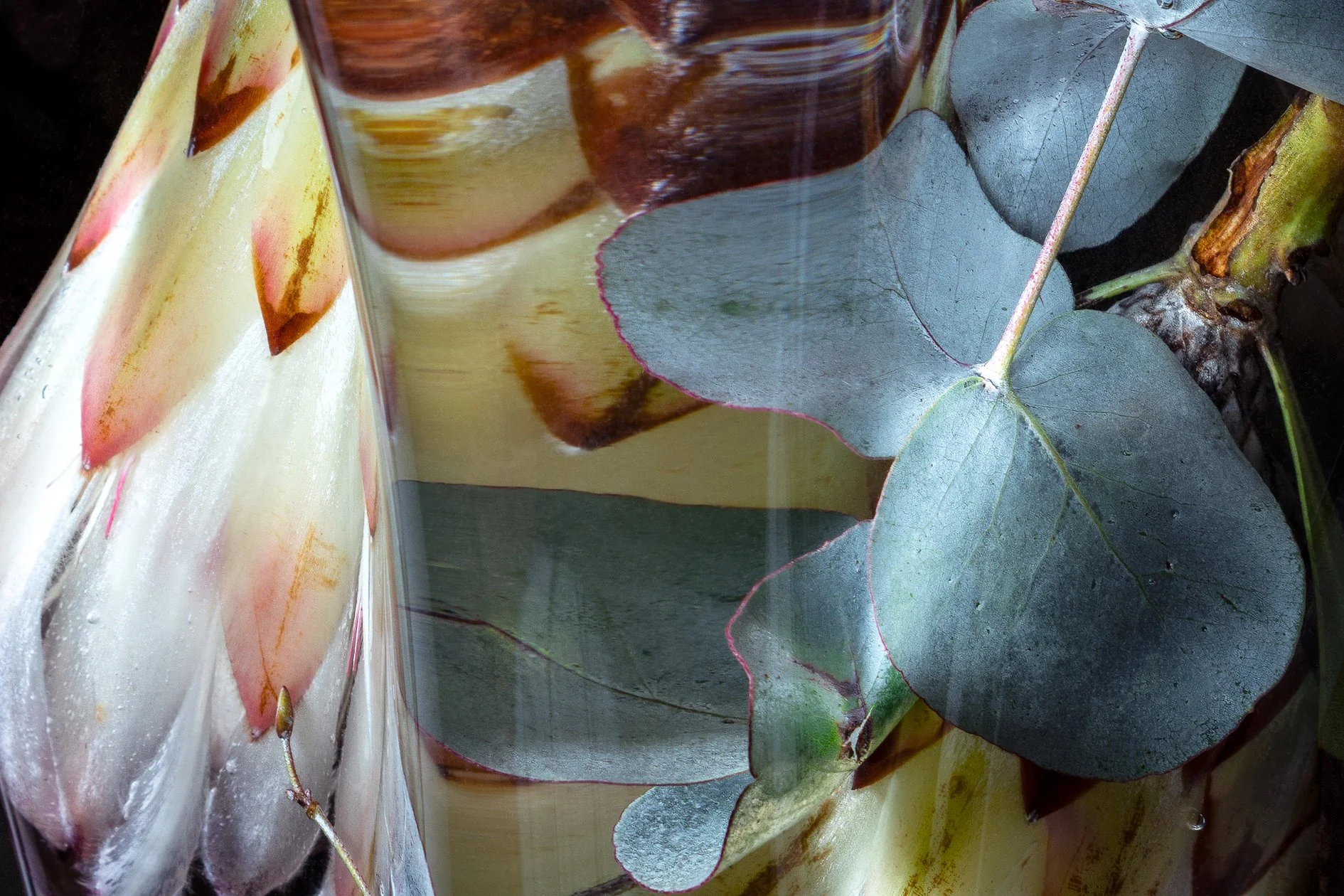 Flora Lento_01.jpg
