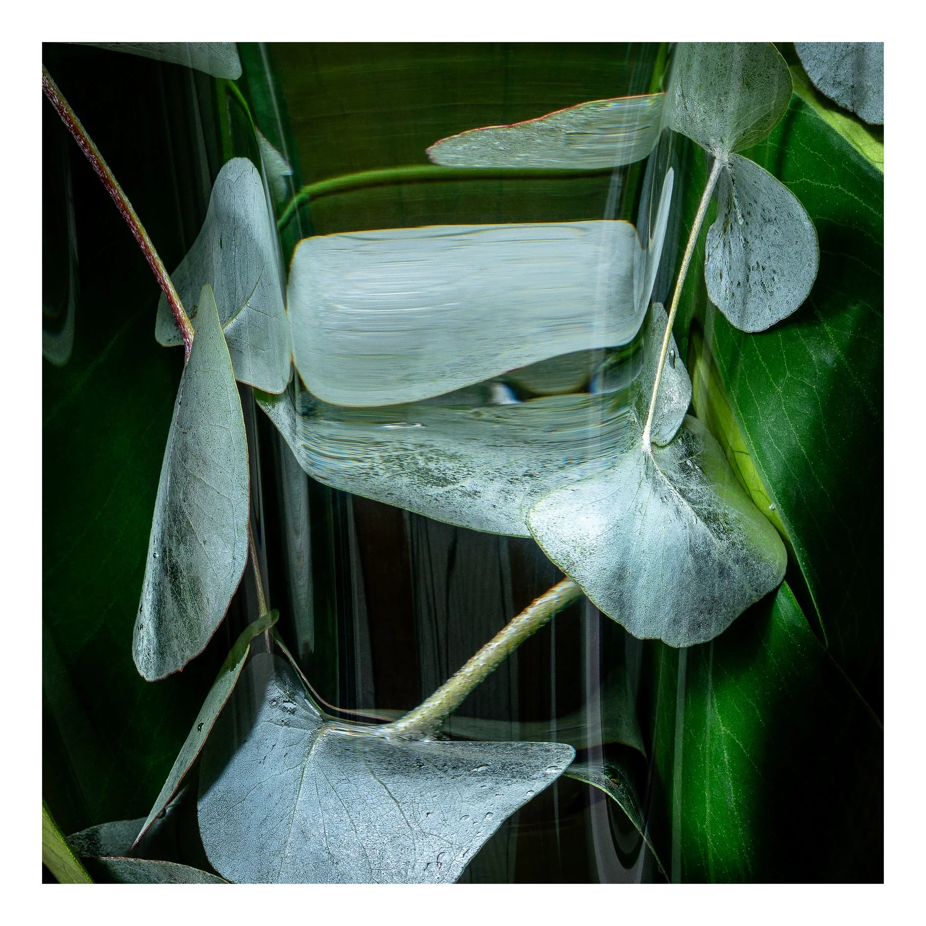 Verdant Fugue 05