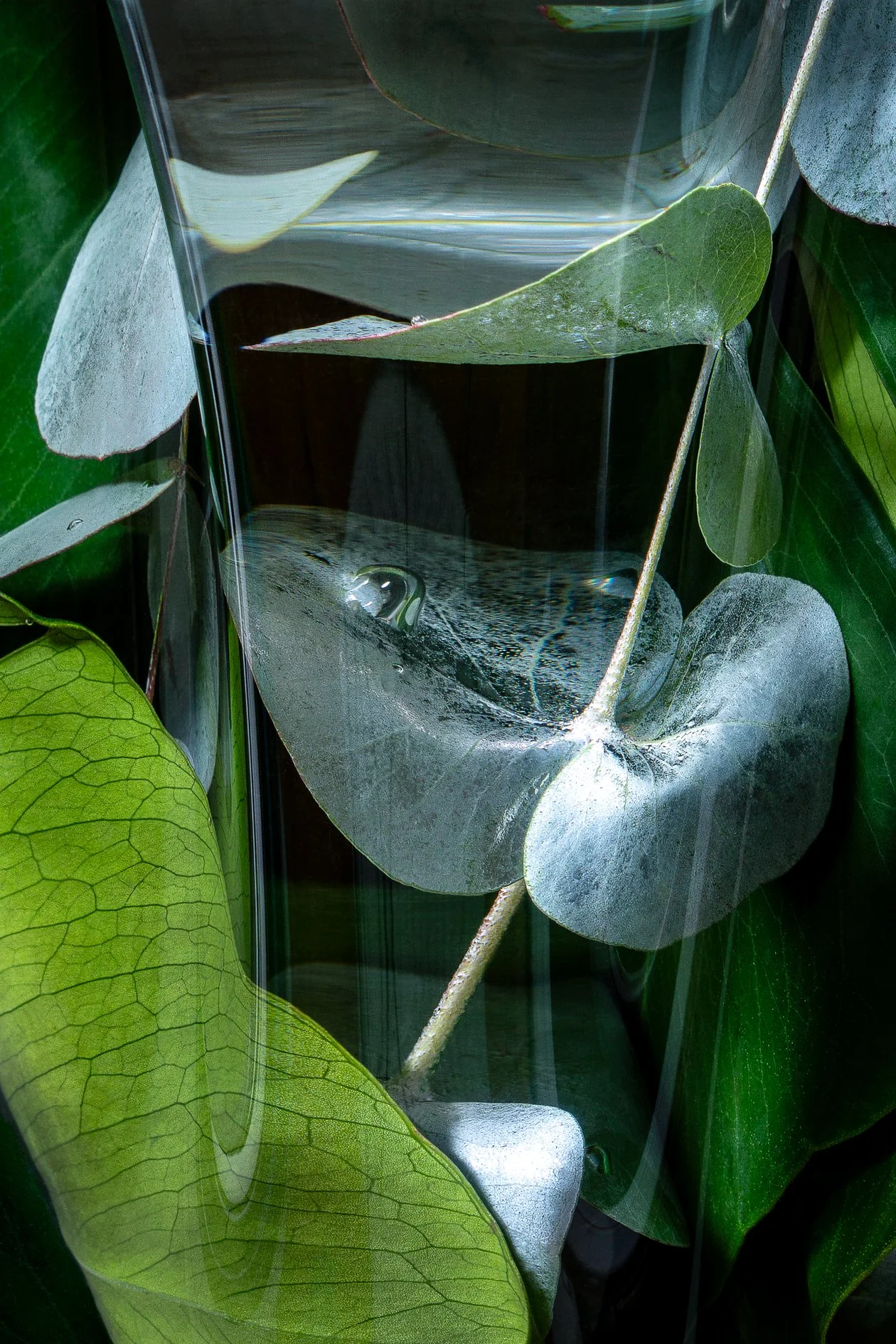 Verdant Fugue_04.jpg