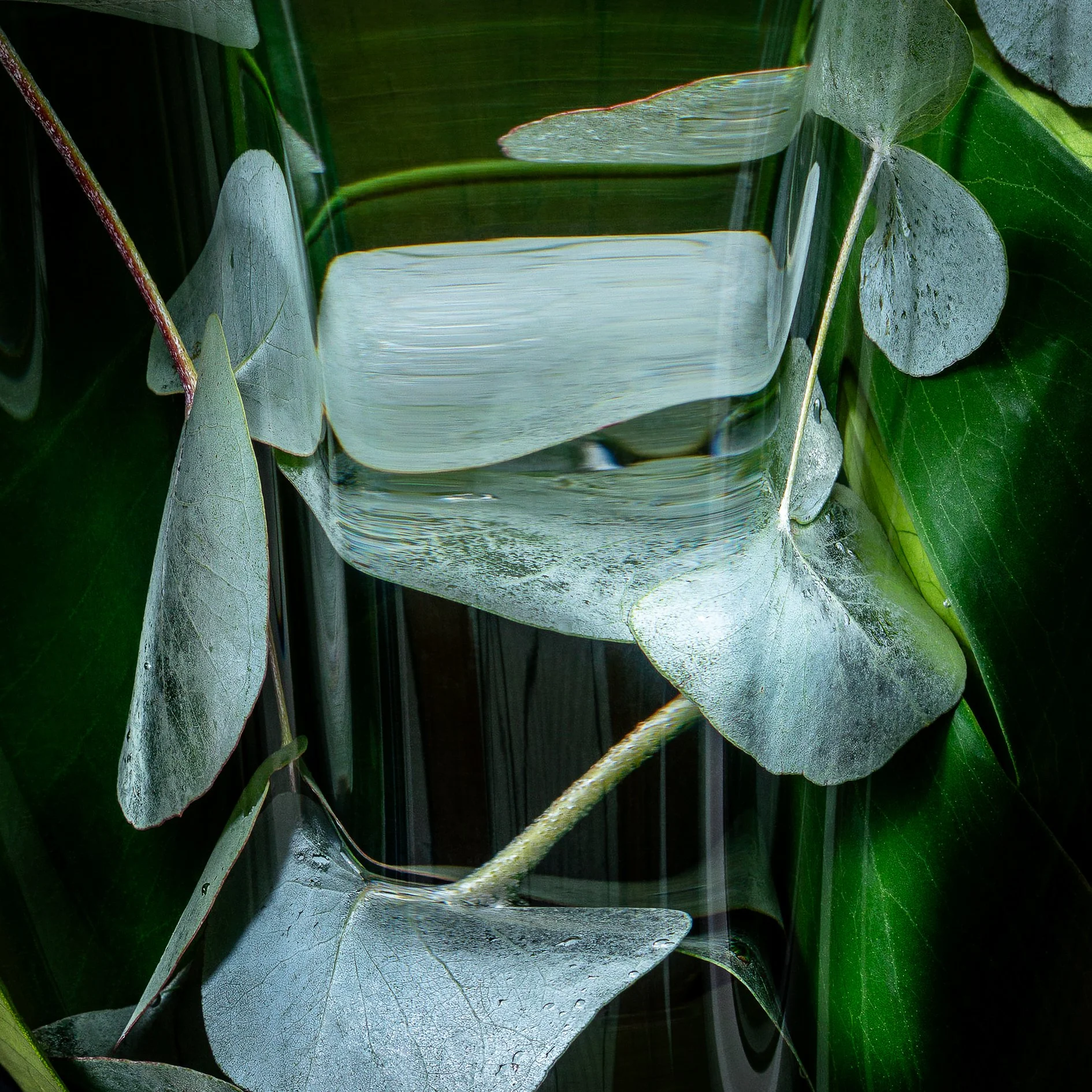 Verdant Fugue_05_Square.jpg (Copy)