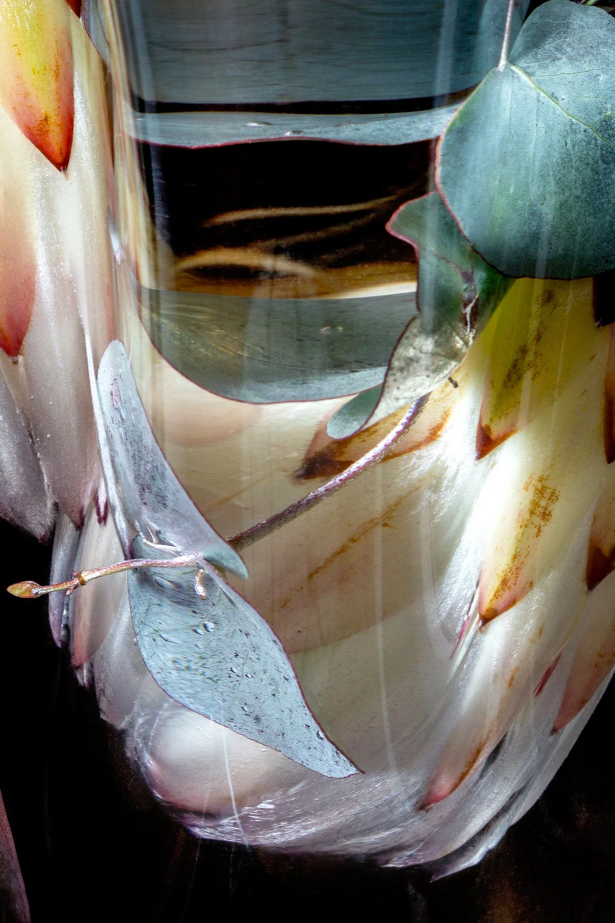 Flora Lento_02.jpg