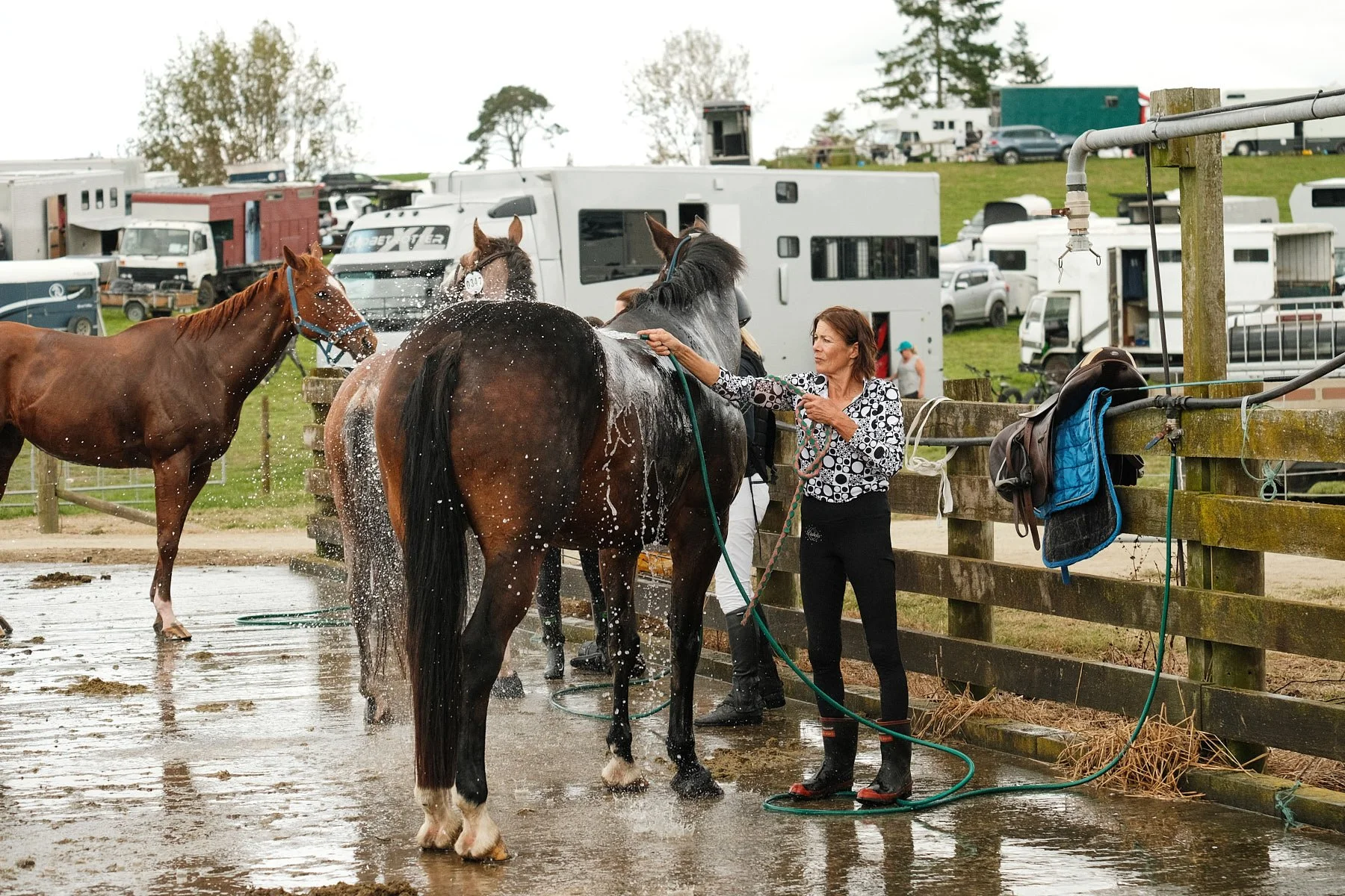 Randlab Matamata Horse Trials — Good Intentions