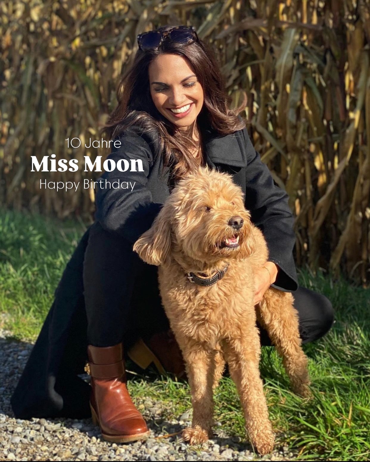 Heute wirst du zehn, Miss Moon. 🐕🤎

Zehn Jahre, in denen du einfach da warst. W&auml;hrend sich um uns herum so vieles ver&auml;ndert hat, bist du mitgegangen &ndash; mit deinem eigenen Kopf, deinem warmen Blick und dieser stillen Art, aus einem Ha