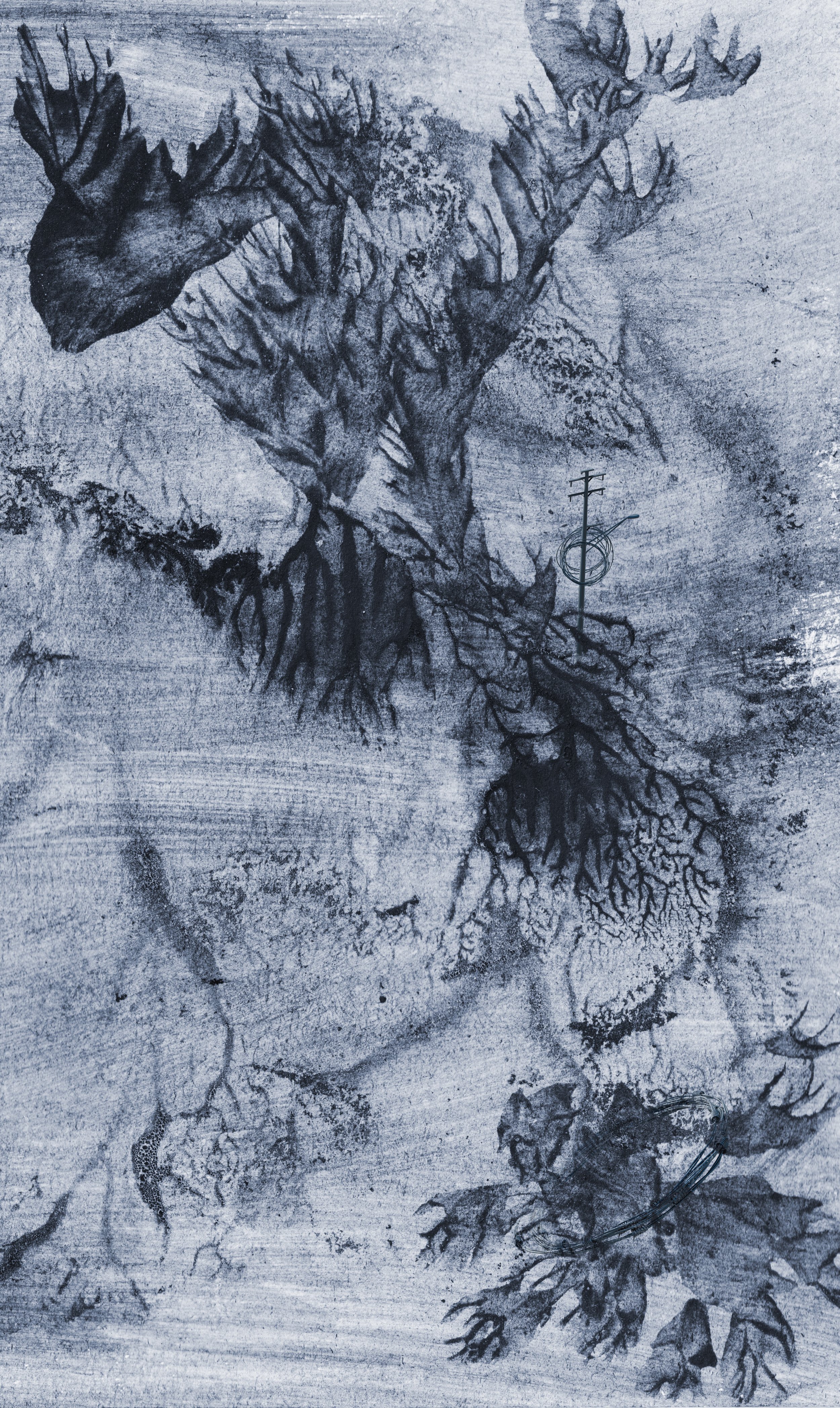 Natura06cut1.jpg