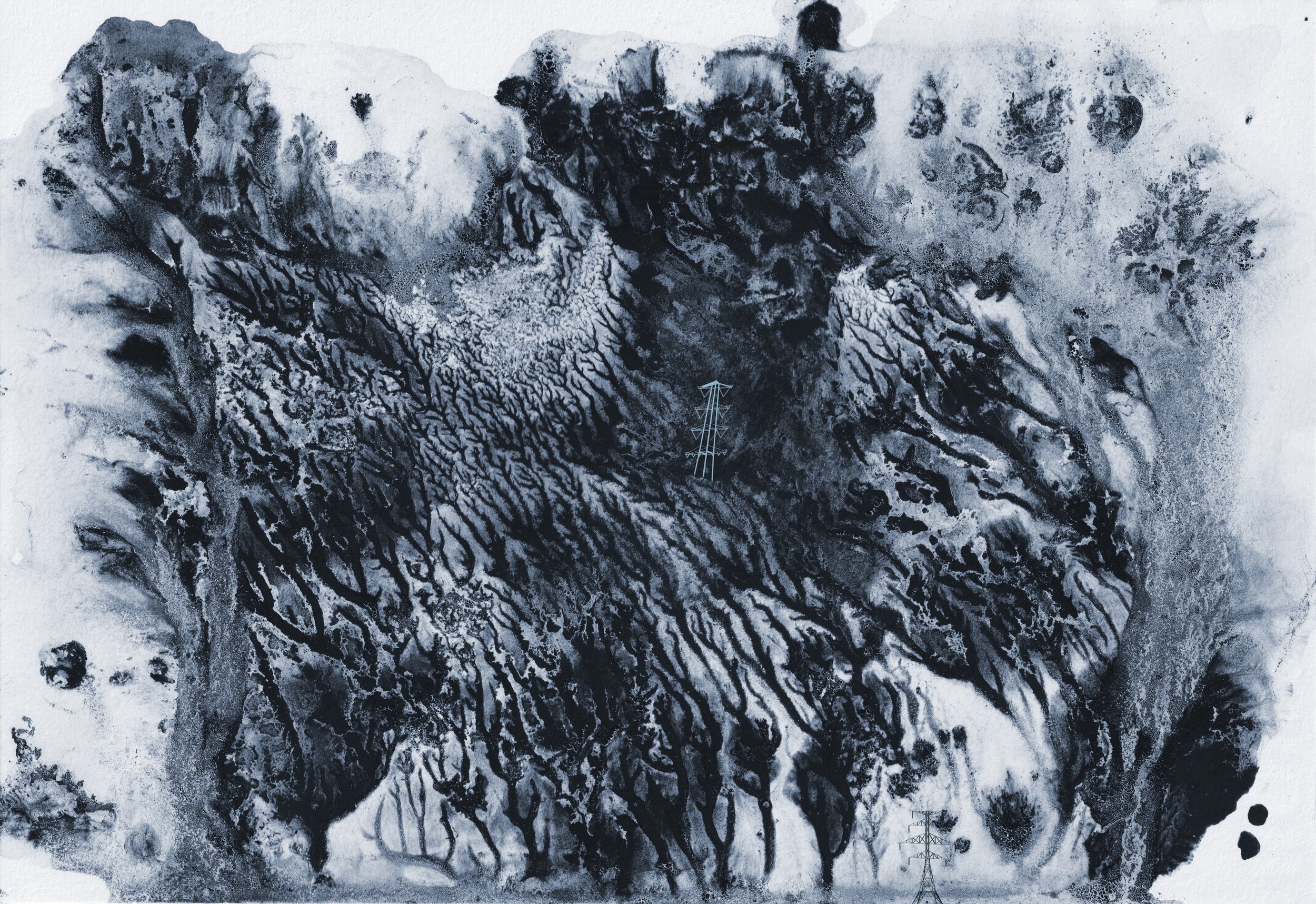 Natura05.jpg