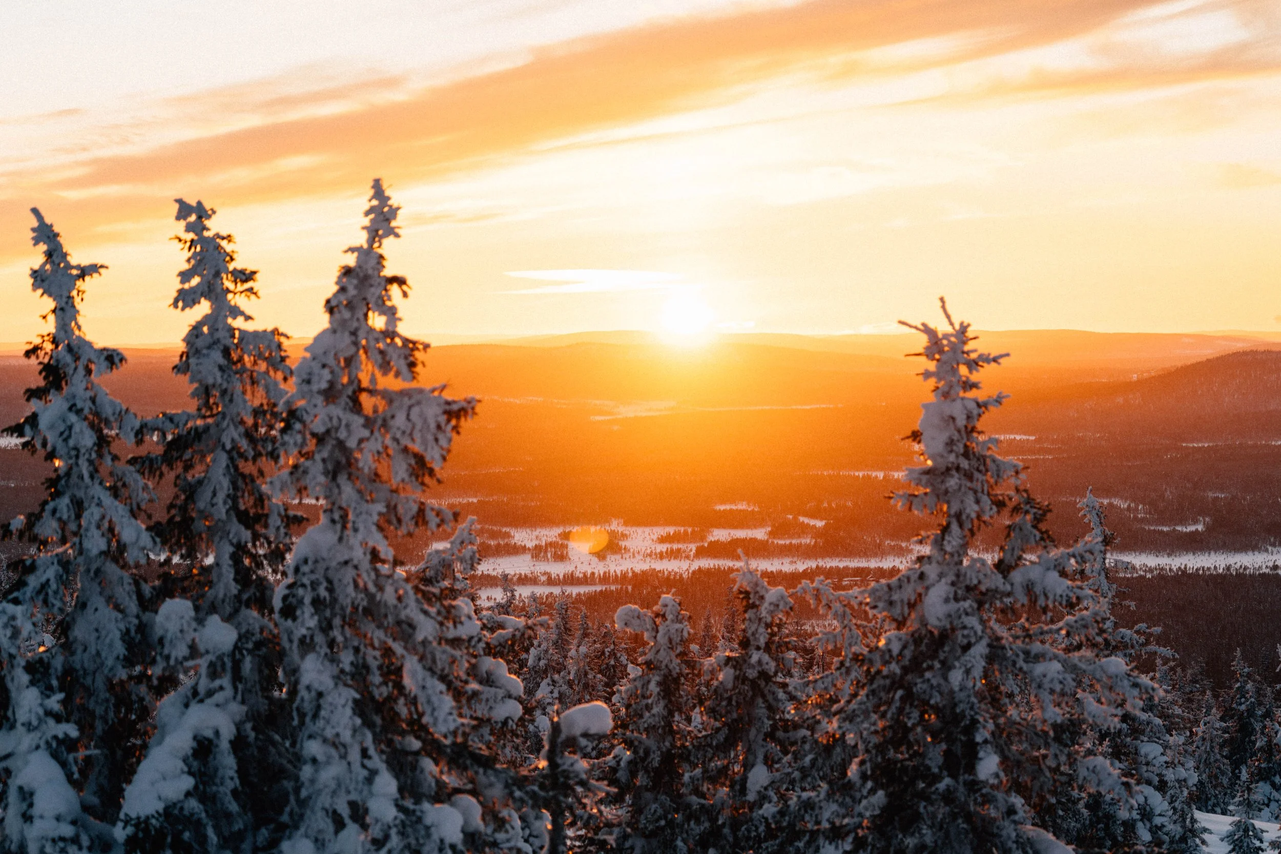 Lappland Fotoreise Winter 2027