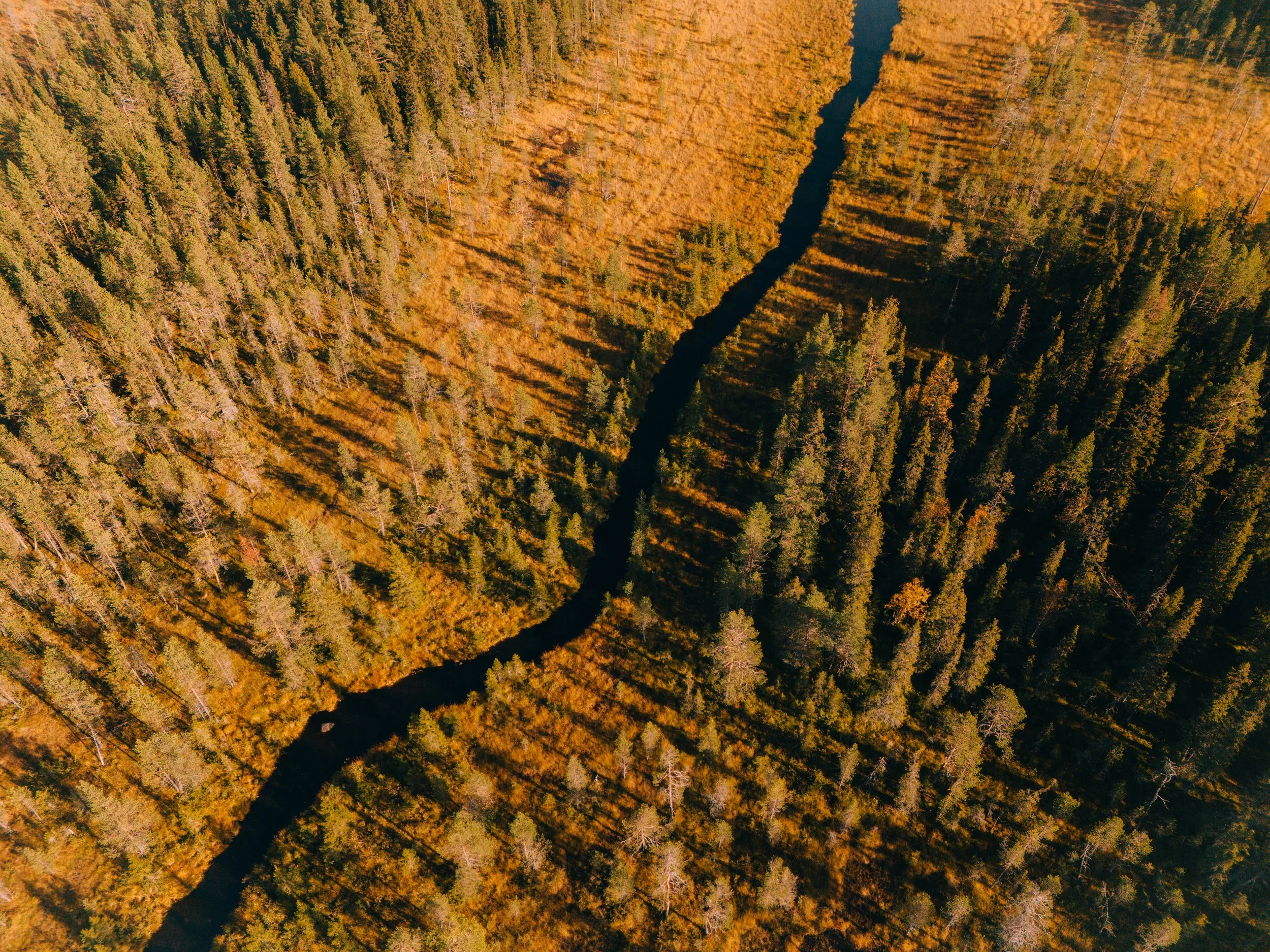 DJI_20230918150030_0429_D.jpg