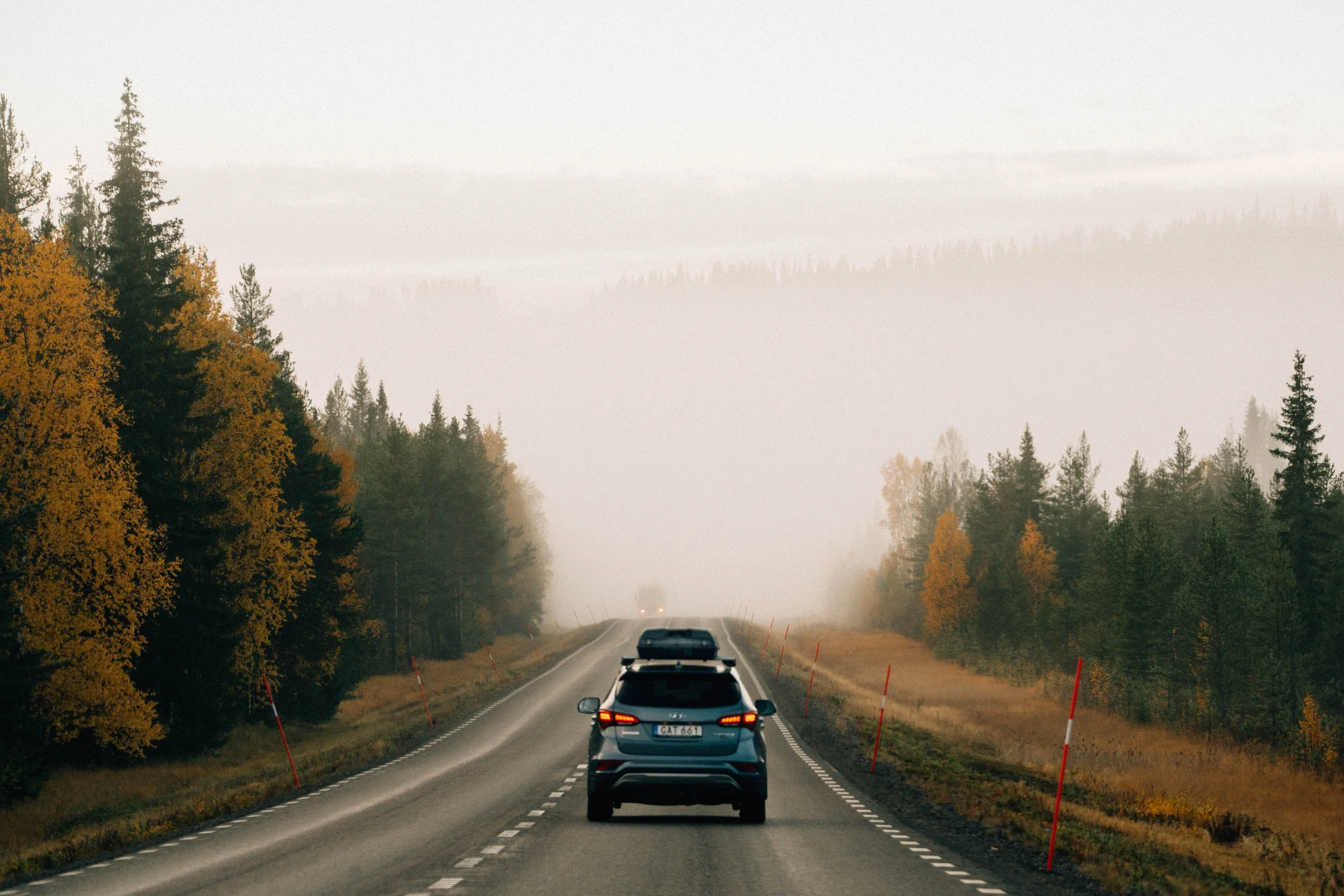 A7408001.jpg