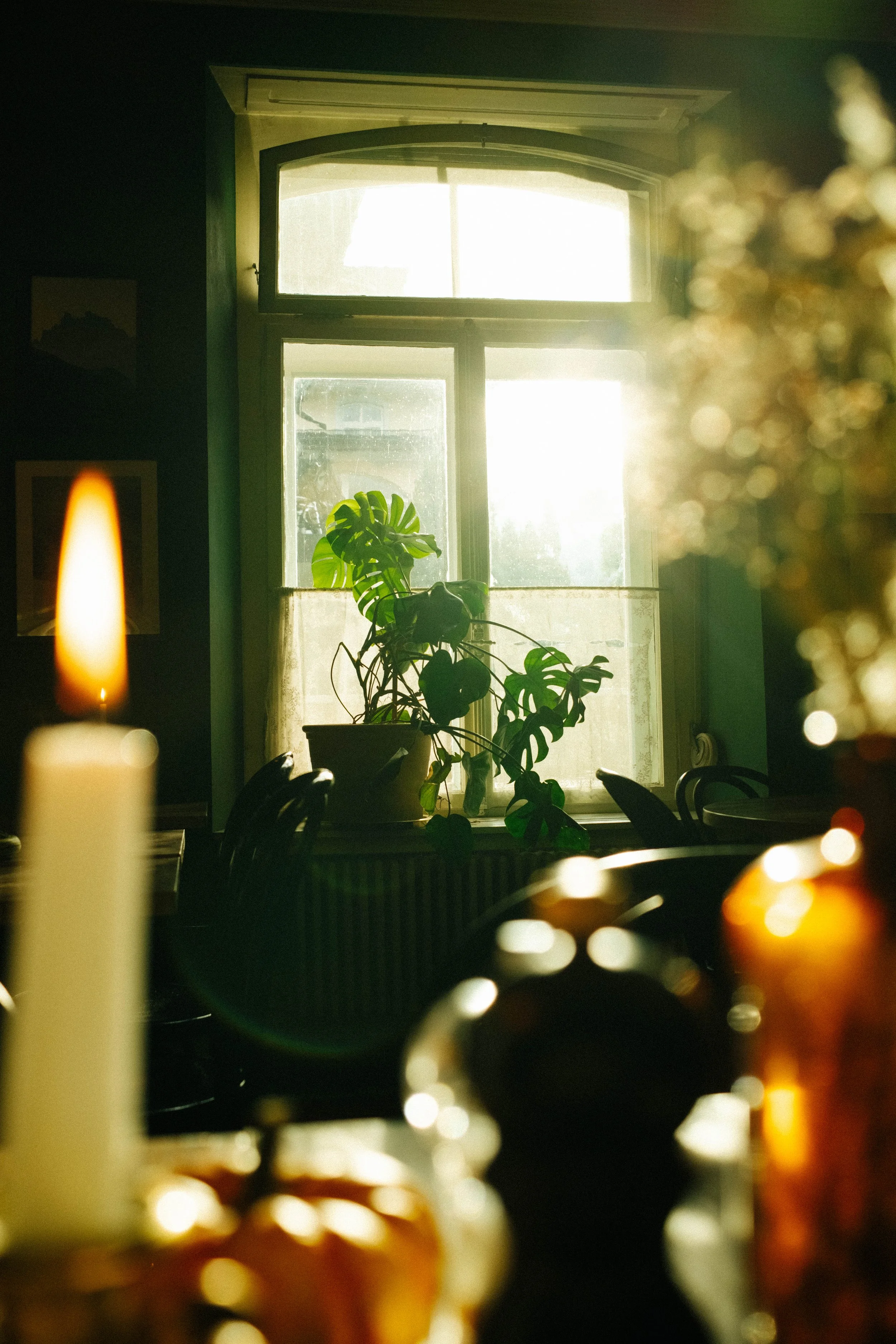 DSCF5841.jpg