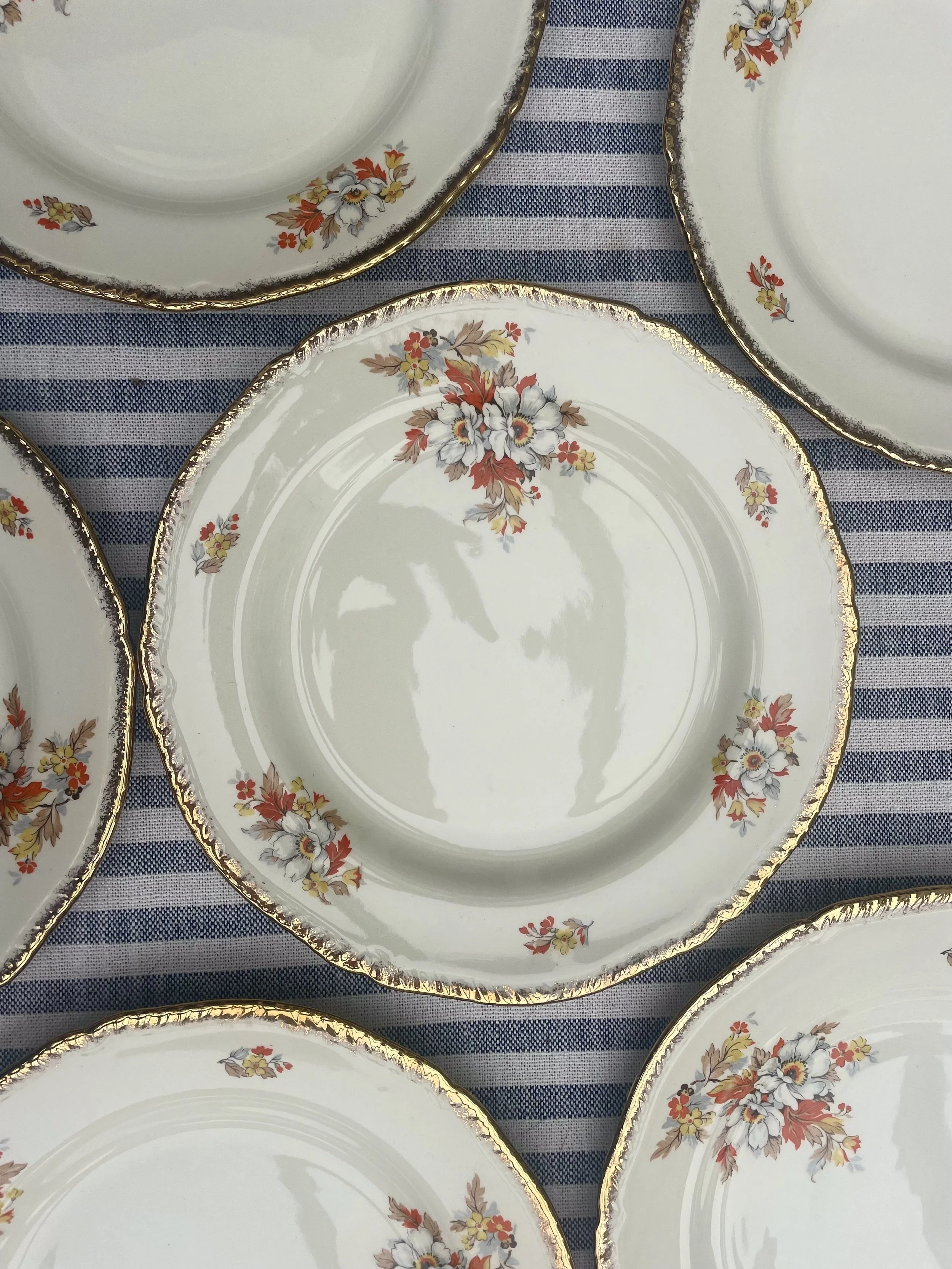 Woods plates.jpg