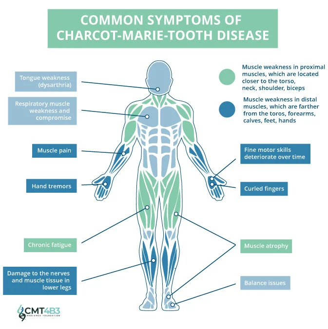 Charcot-Marie-Tooth Disease Type 4B3 — CMT4B3 Research Foundation