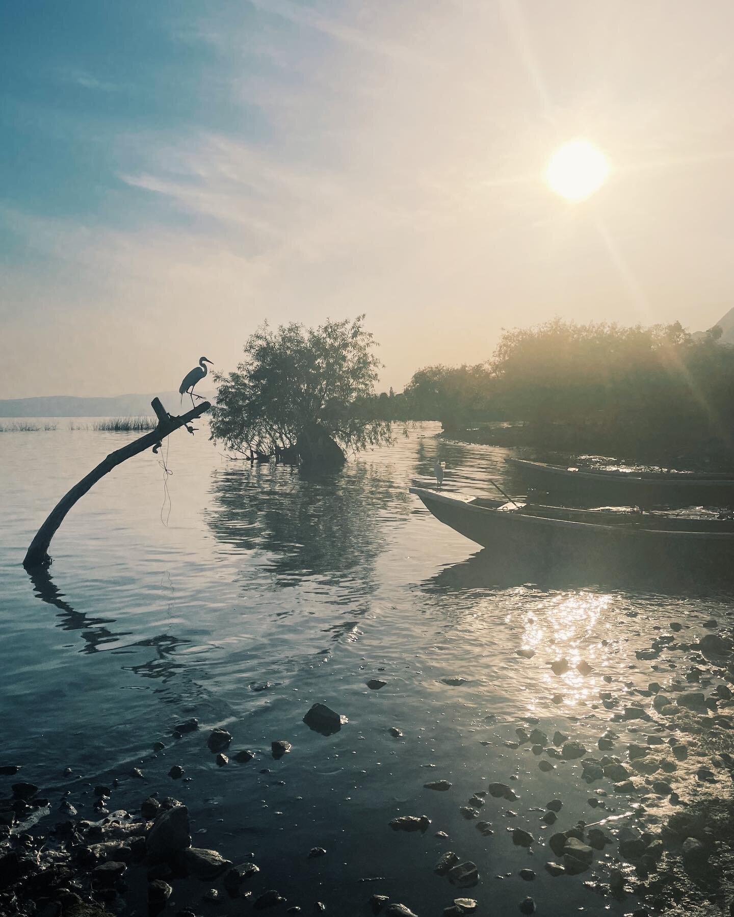 Ajijic, Mexico &bull; March 2023

There was something magnetic about Ajijic, so magnetic that I&rsquo;m actually still unsure whether I made the choice to visit or whether this pueblo m&aacute;gico tucked along the banks of Lake Chapala and teeming w