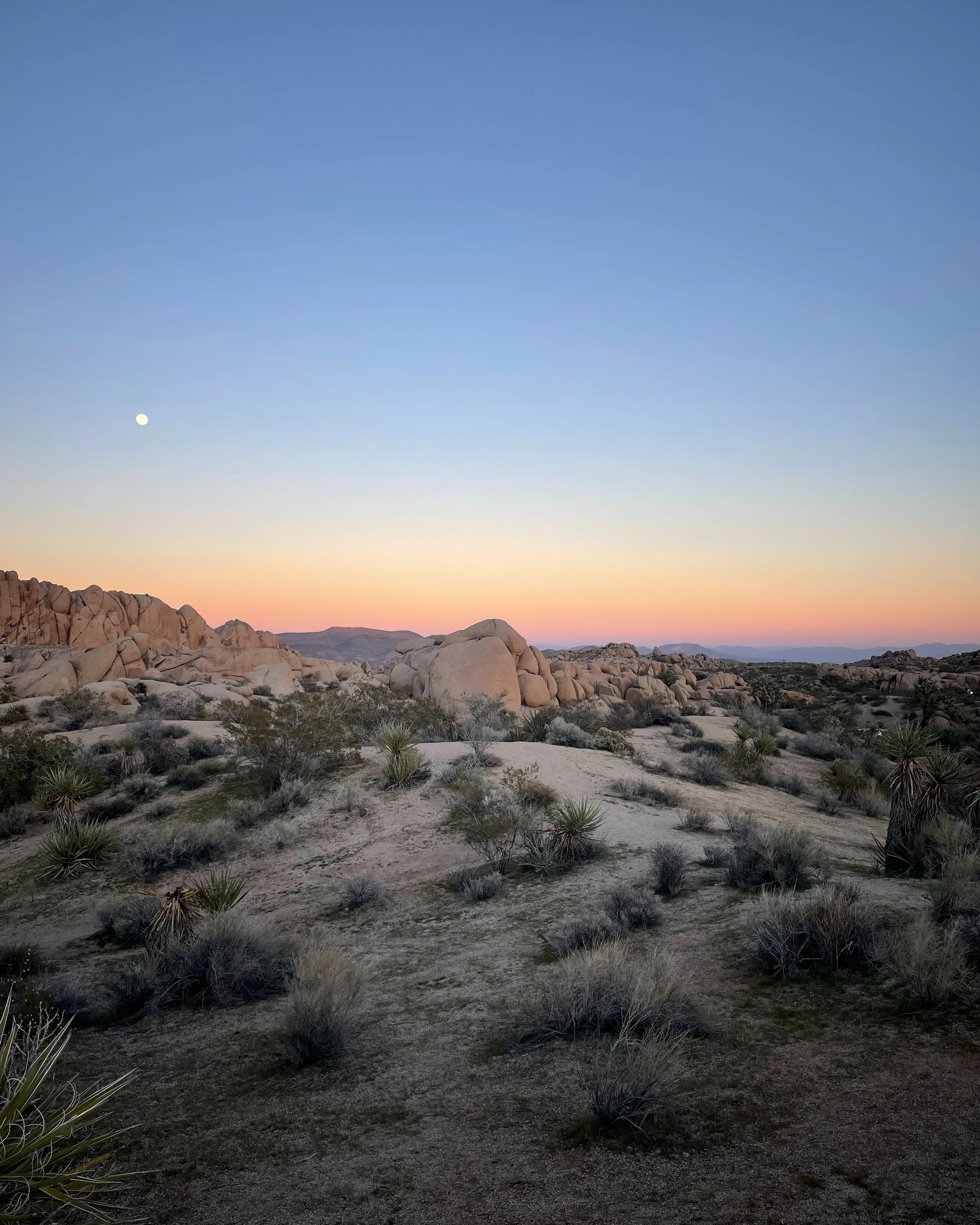 10E3A032-E2B4-4D6D-AEC4-4F55ED37648B 2.jpg