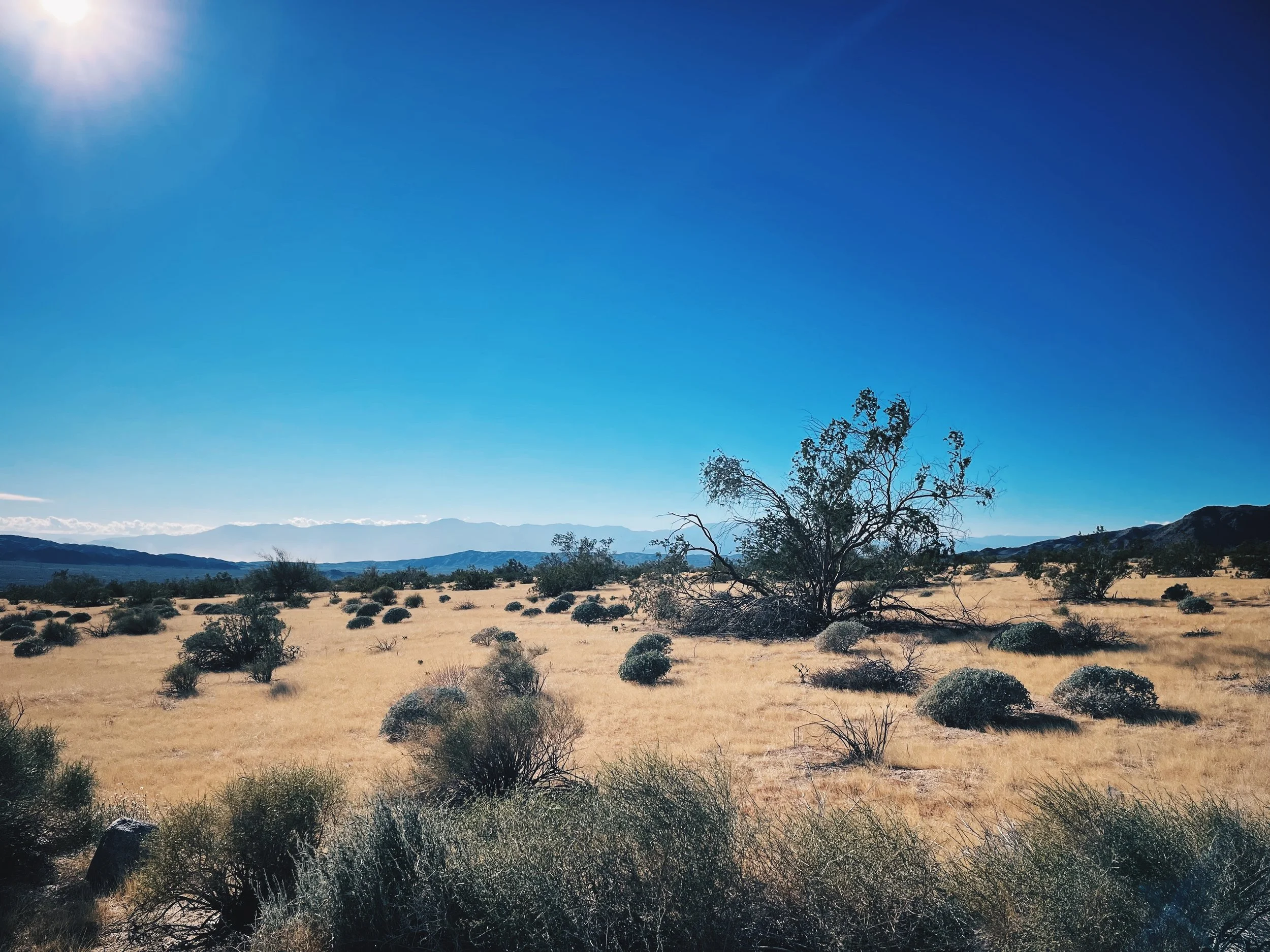 C61D5E8F-2B5E-4DF9-A1E4-1534909198D1 2.jpg