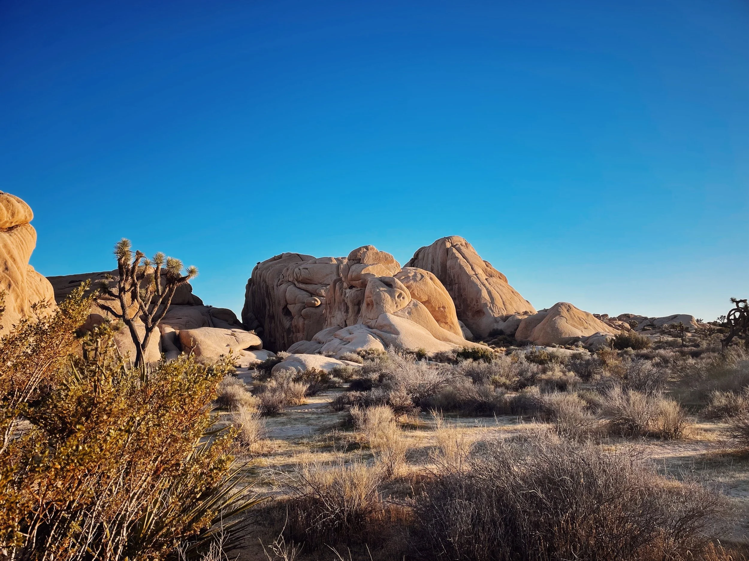 CB4C38E5-4BEF-4C3B-B458-3DFEC9AD224F 2.jpg