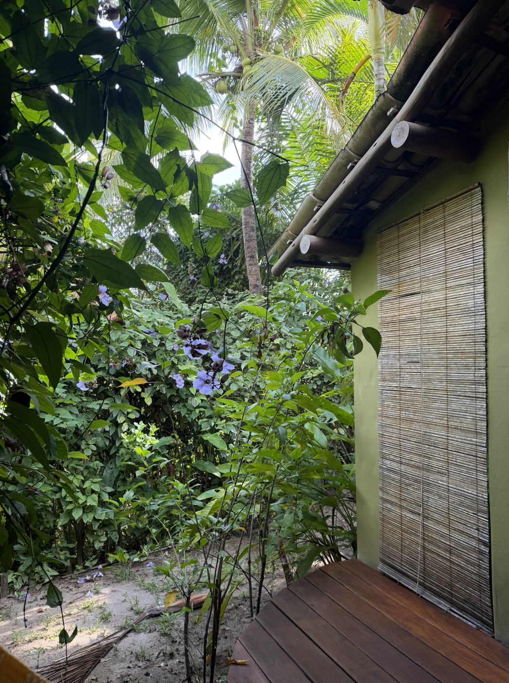 Screenshot 2026-03-19 at 1.20.38 PM.png