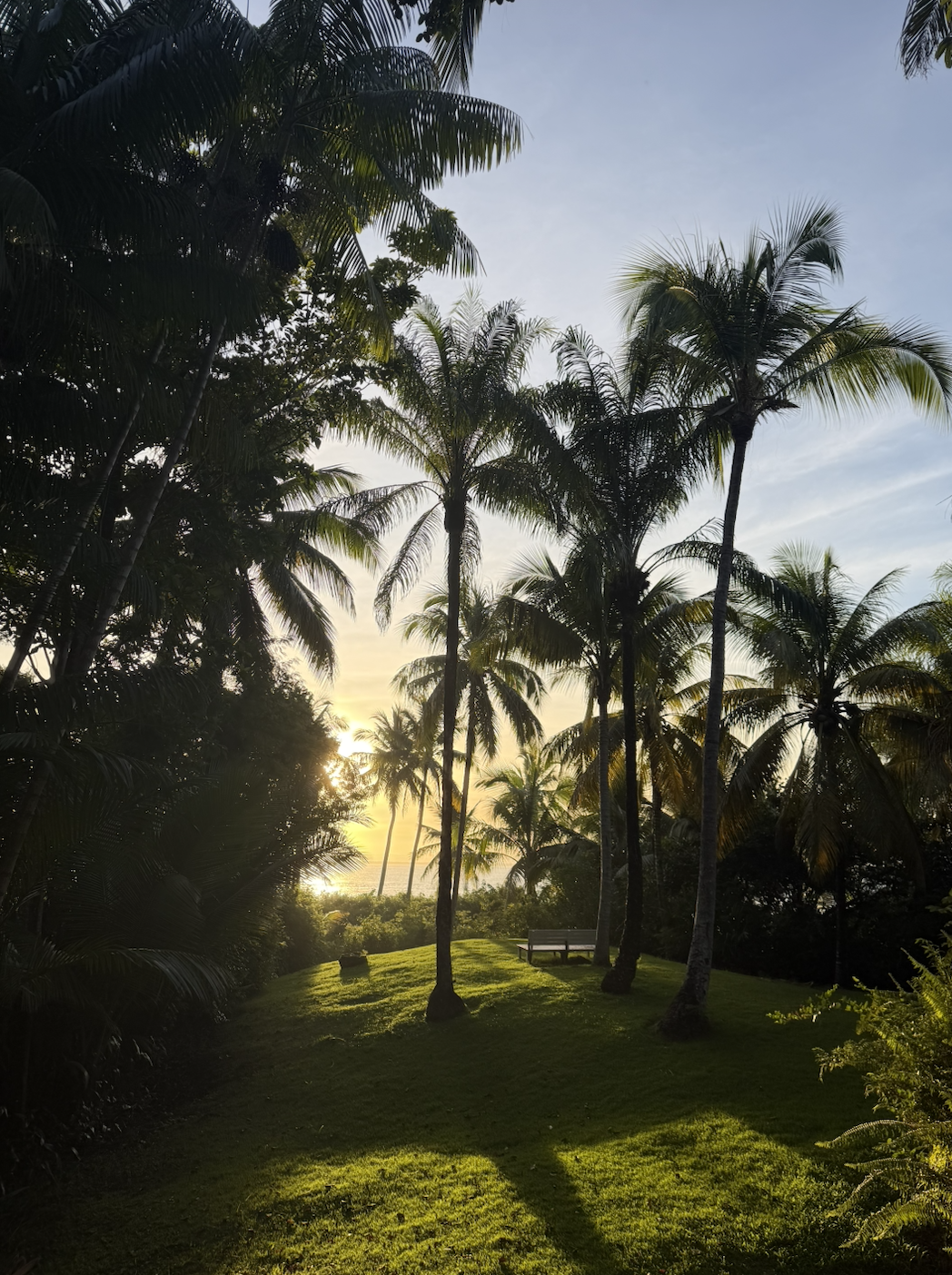 Screenshot 2026-03-19 at 1.21.26 PM.png