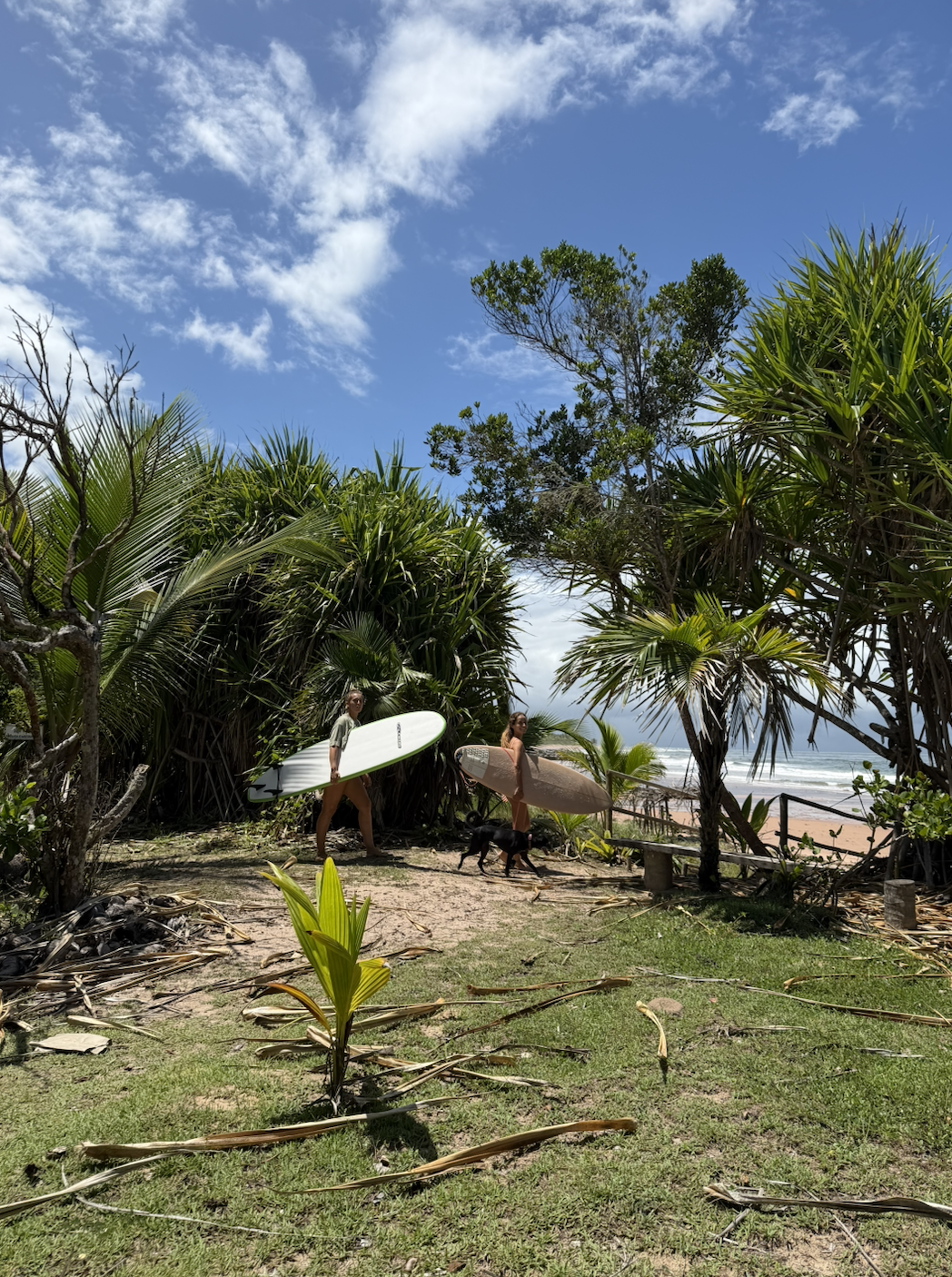 Screenshot 2026-03-19 at 1.32.42 PM.png