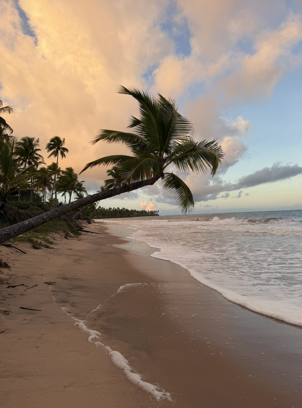 Screenshot 2026-03-19 at 1.32.51 PM.png