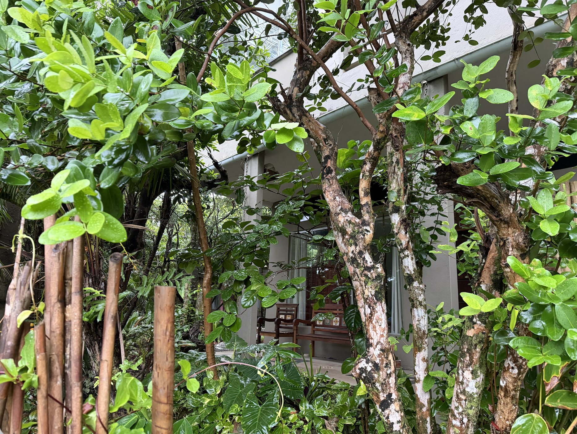 Screenshot 2026-03-19 at 1.33.23 PM.png