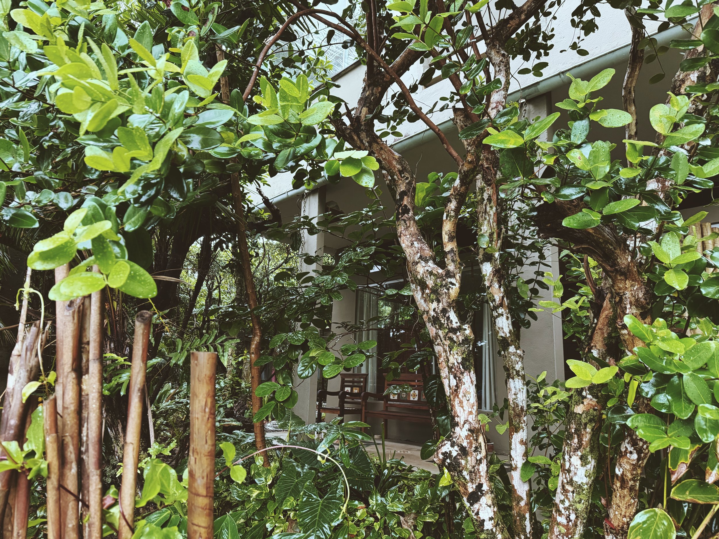 My Stay at Surf &amp; Yoga Retreats: A Yoga Retreat on Brazil’s Maraú Peninsula