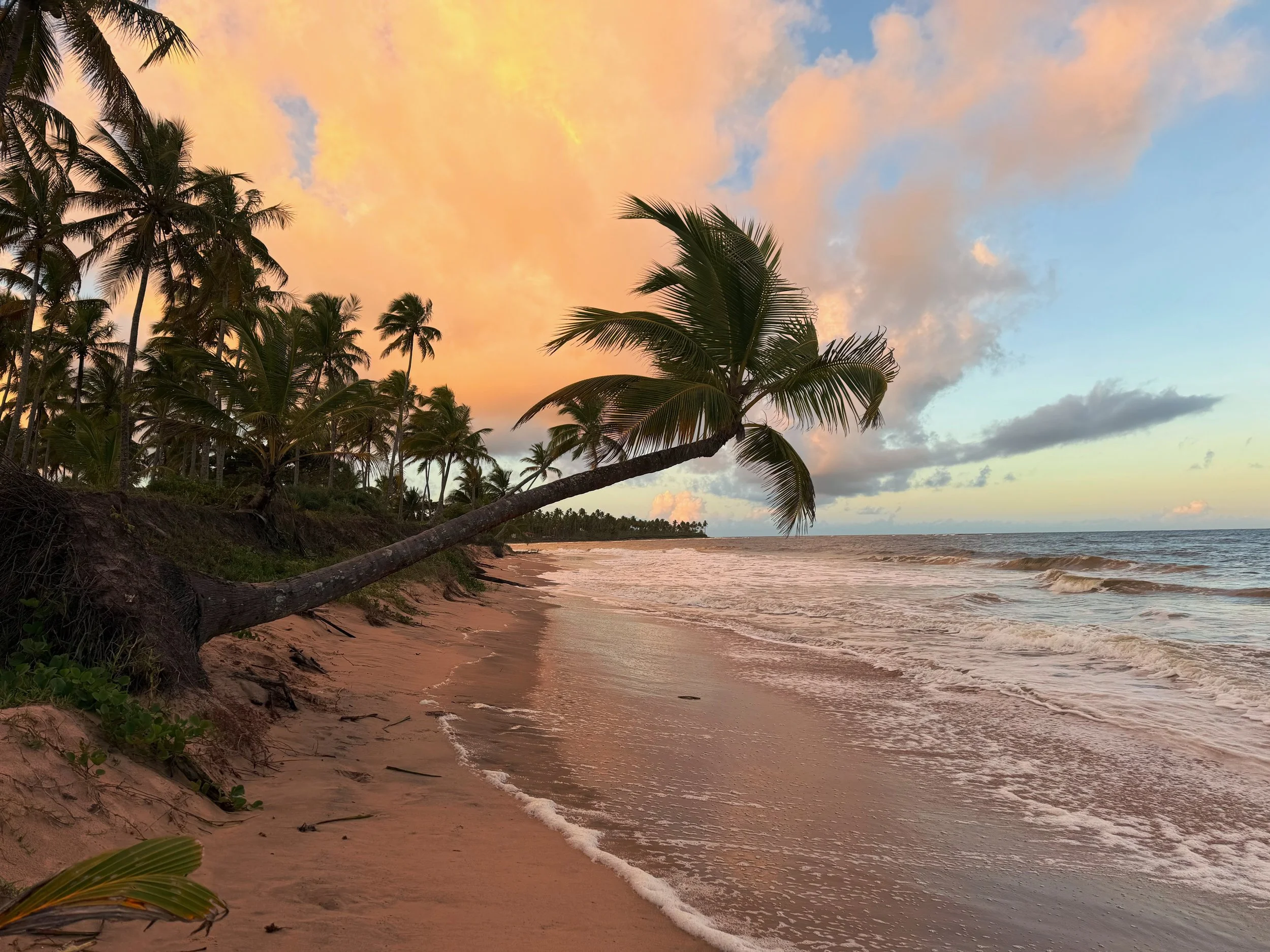 The Ultimate Maraú Peninsula Guide: Algodões, Taipu de Fora, Cassange &amp; Barra Grande