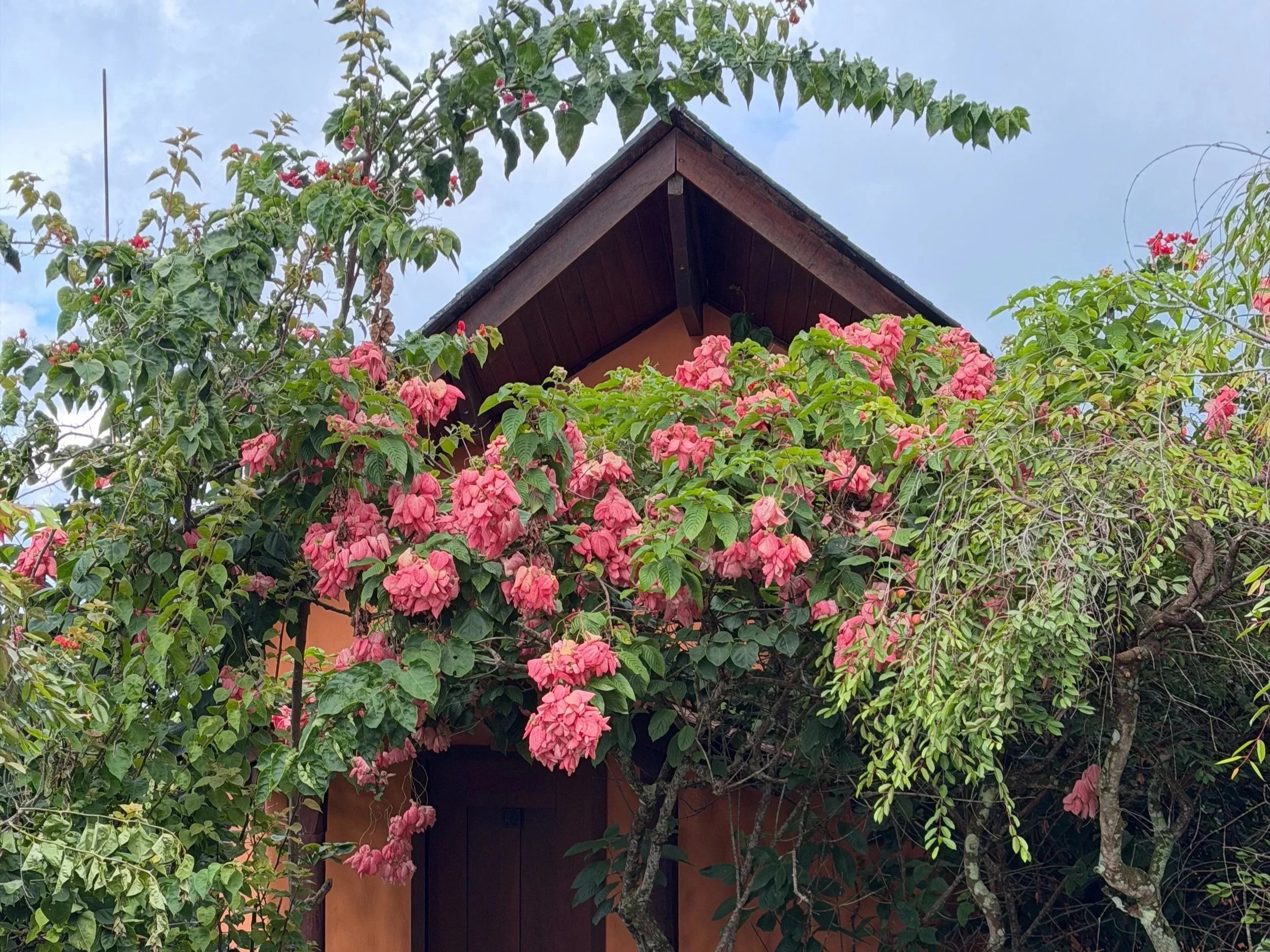 Where to Stay in Boipeba: 5 Best Pousadas, Eco-Hostels, &amp; Hidden Gem Rentals (Tested!)