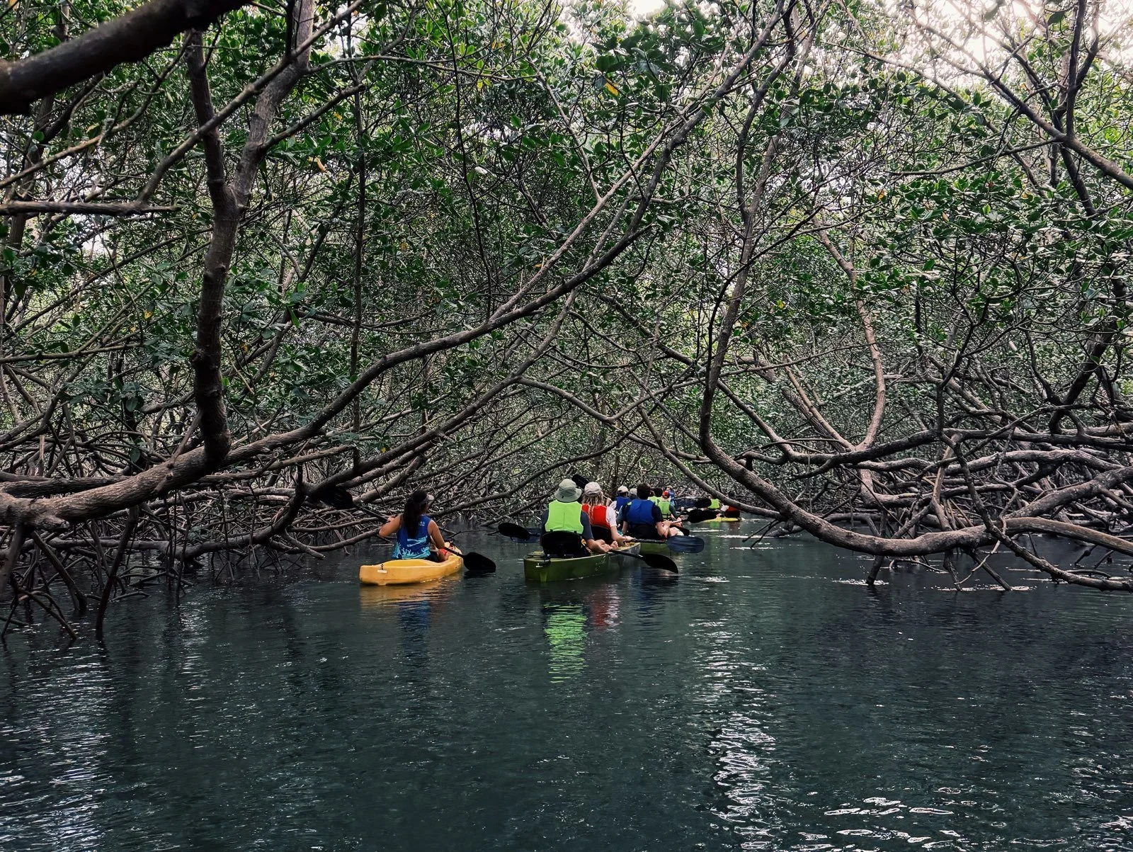 mangrove kayak tour in boipeba