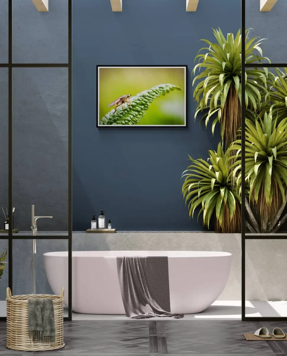 068 FRAMED CANVA.webp