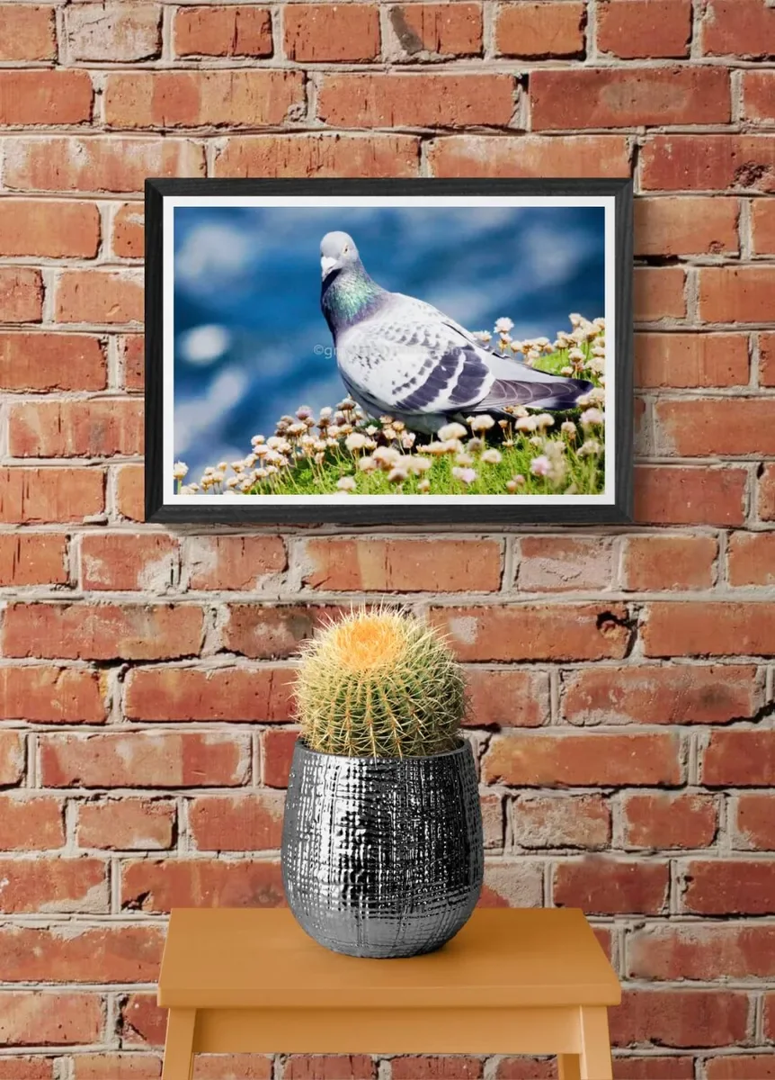 122 FRAMED CANVA 2.webp