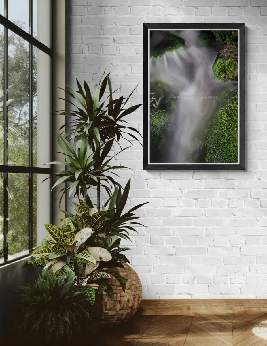 158 FRAMED CANVA.webp