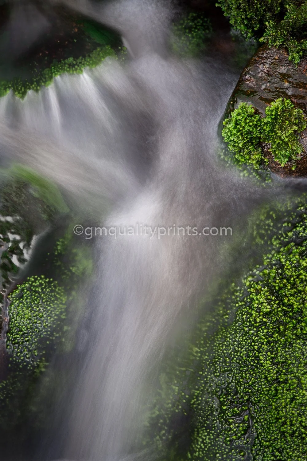 158 wicklow waterfall ireland (1 of 1).jpg