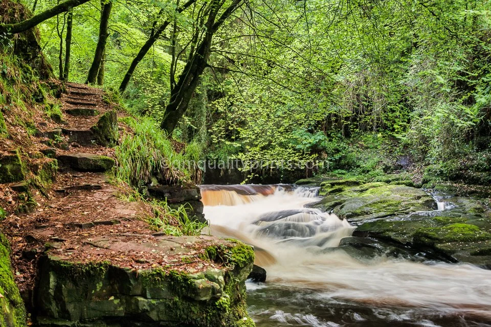 049 Clare Glens (1 of 1).jpg