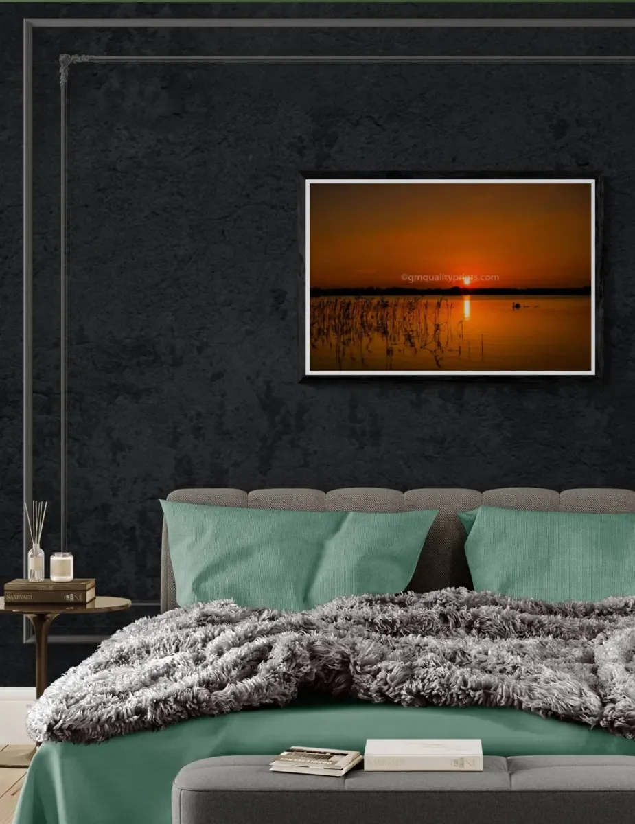 020 FRAMED CANVA 3.webp