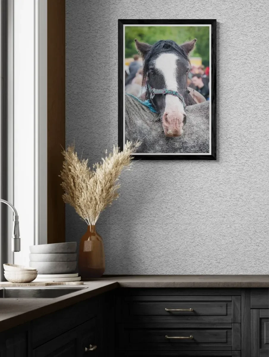 086 FRAMED IN CANVA.webp