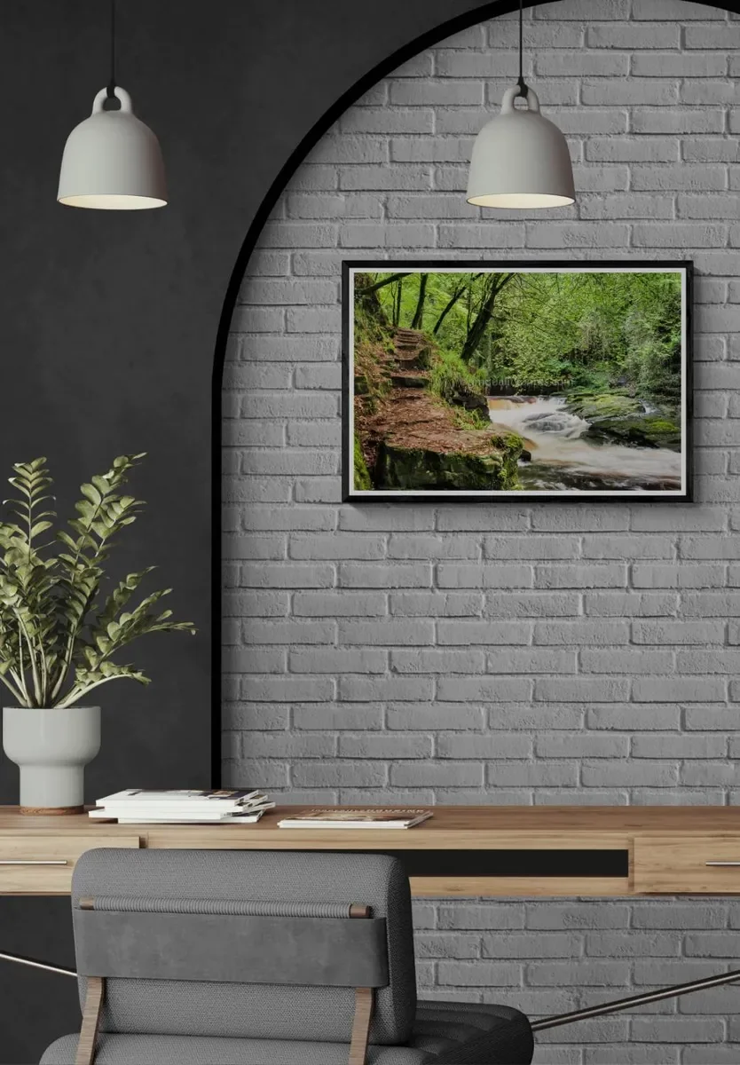 049 FRAMED CANVA.webp