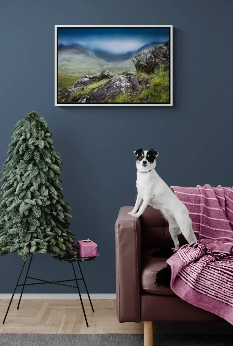 169 FRAMED CANVA 2.webp