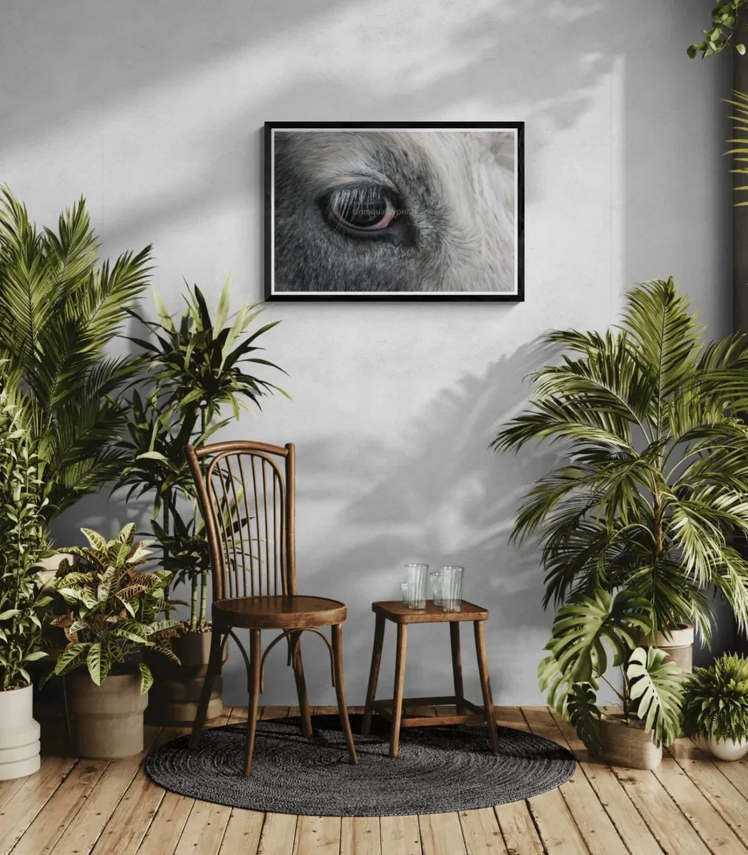 188 FRAMED CANVA 10.webp