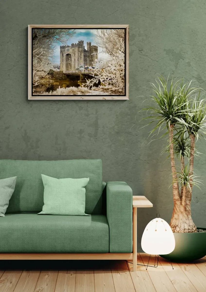 035 FRAMED CANVA 3.webp