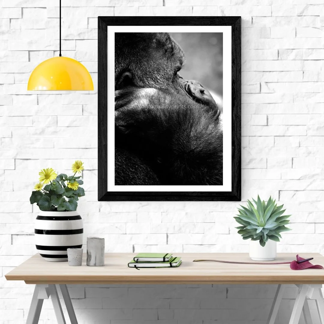 070 black border frame.jpg