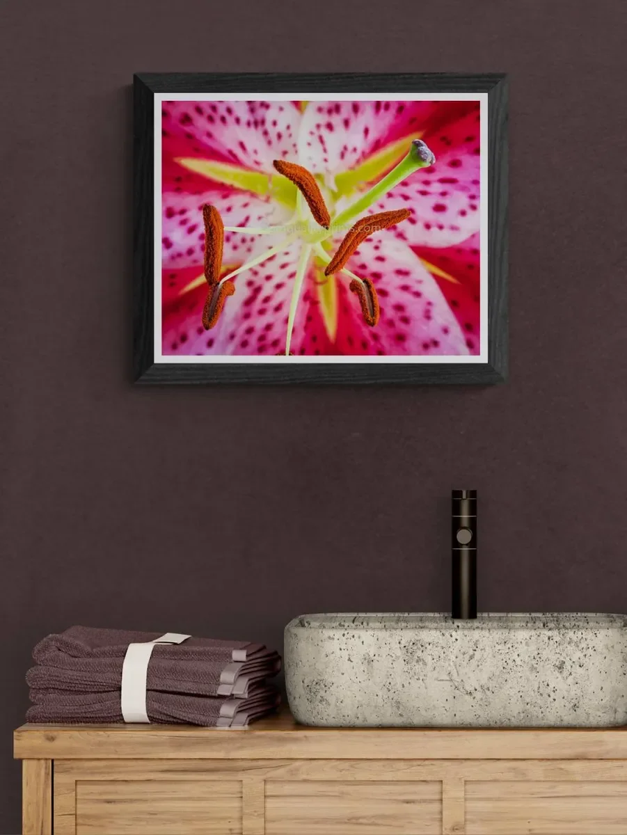 111 FRAMED CANVA.webp