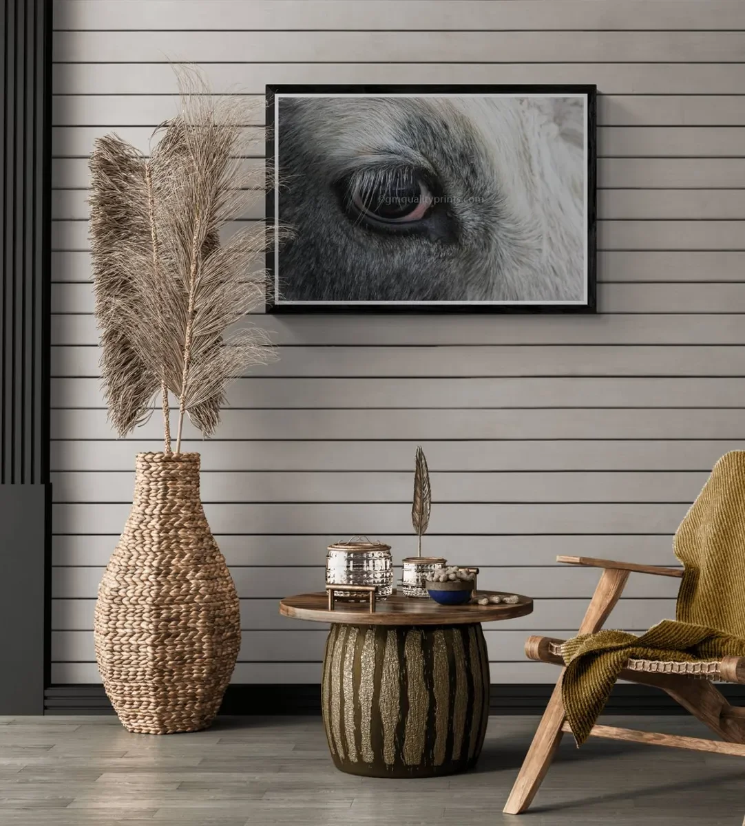 188 FRAMED CANVA 7.webp