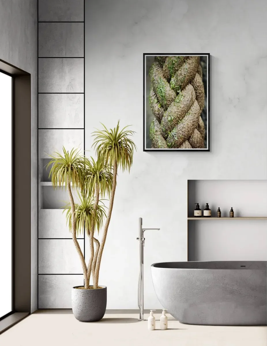 141 FRAMED CANVA 2.webp