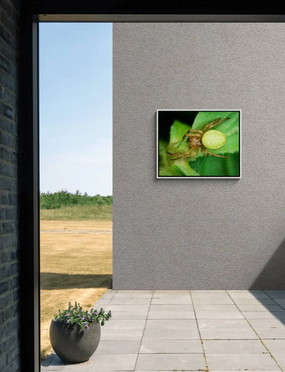 112 FRAMED CANVA.webp