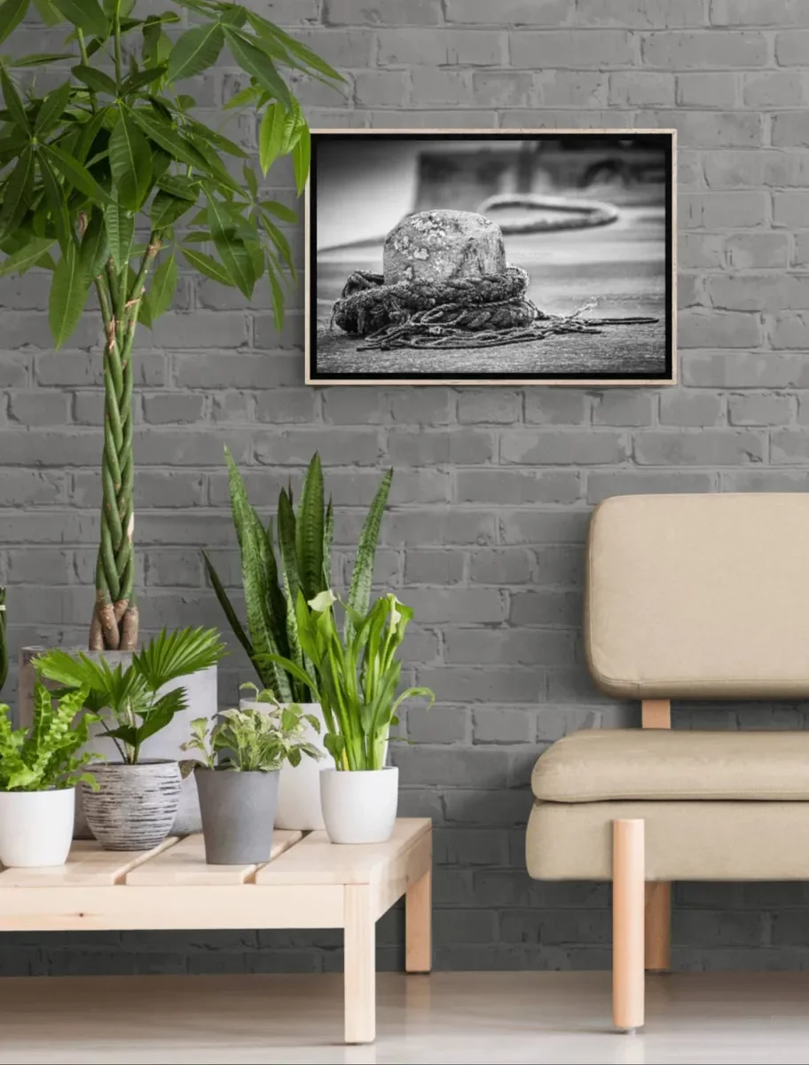 033 FRAMED CANVA 4.webp