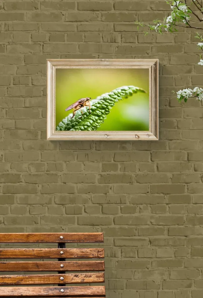 068 FRAMED CANVA 4.webp