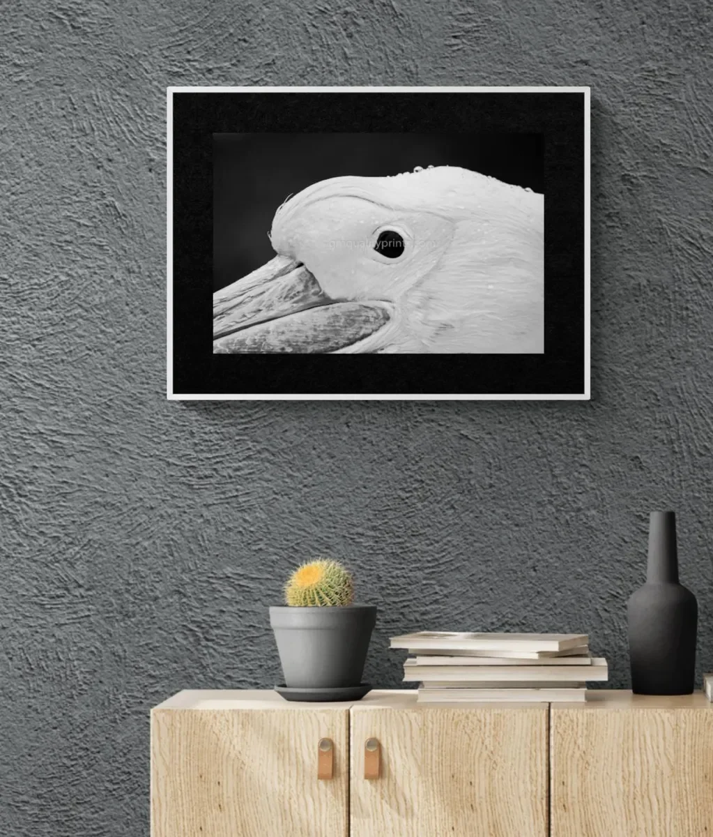 065 FRAMED CANVA 3.webp