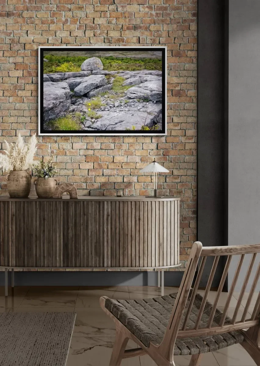 036 FRAMED CANVA 3.webp