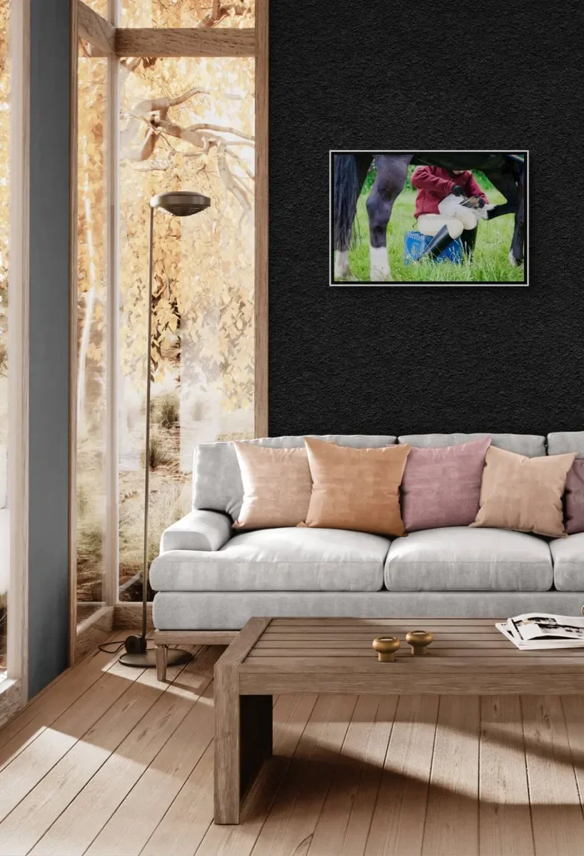 085 FRAMED IN CANVA.webp