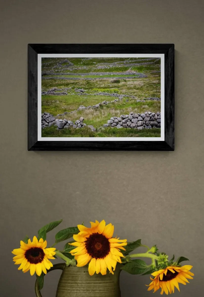 171 FRAMED CANVA.webp